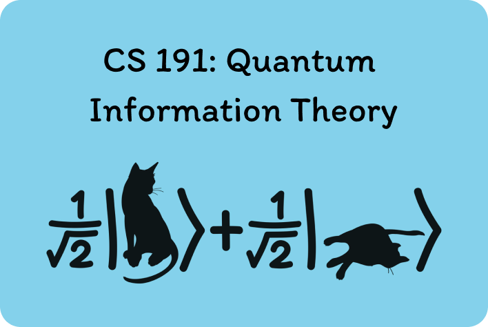 Quantum Annealing TSP